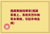 西藏黄精找哪家(西藏草原上，发现天然珍稀草本黄精，引起市场追捧)