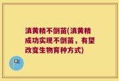 滇黄精不倒苗(滇黄精成功实现不倒苗，有望改变生物育种方式)