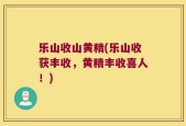 乐山收山黄精(乐山收获丰收，黄精丰收喜人！)