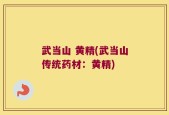 武当山 黄精(武当山传统药材：黄精)