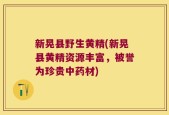 新晃县野生黄精(新晃县黄精资源丰富，被誉为珍贵中药材)