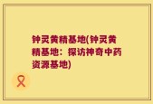 钟灵黄精基地(钟灵黄精基地：探访神奇中药资源基地)