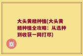 大头黄精种植(大头黄精种植全攻略：从选种到收获一网打尽)