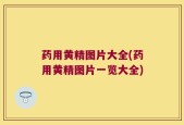 药用黄精图片大全(药用黄精图片一览大全)