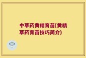 中草药黄精育苗(黄精草药育苗技巧简介)