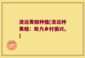 清远黄精种植(清远种黄精：助力乡村振兴。)