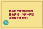 精品野生黄精(珍贵的野生黄精：珍稀中药资源的保护和开发)