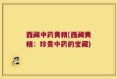 西藏中药黄精(西藏黄精：珍贵中药的宝藏)