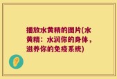 播放水黄精的图片(水黄精：水润你的身体，滋养你的免疫系统)
