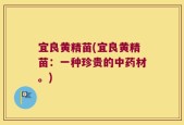 宜良黄精苗(宜良黄精苗：一种珍贵的中药材。)