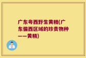 广东粤西野生黄精(广东偏西区域的珍贵物种——黄精)