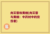 肉苁蓉和黄精(肉苁蓉与黄精：中药材中的佼佼者)