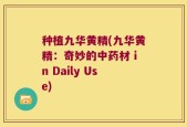 种植九华黄精(九华黄精：奇妙的中药材 in Daily Use)