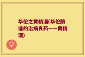 华佗之黄精酒(华佗酿造的治病良药——黄精酒)