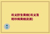 巩义野生黄精(巩义发现珍稀黄精资源)