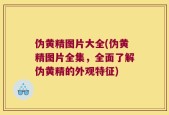 伪黄精图片大全(伪黄精图片全集，全面了解伪黄精的外观特征)