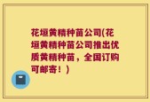 花垣黄精种苗公司(花垣黄精种苗公司推出优质黄精种苗，全国订购可邮寄！)