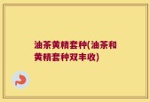 油茶黄精套种(油茶和黄精套种双丰收)
