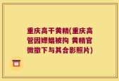 重庆高干黄精(重庆高管因嫖娼被拘 黄精官微撤下与其合影照片)