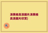 滇黄精高清图片滇黄精高清图片欣赏)