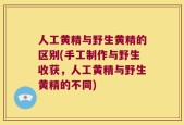 人工黄精与野生黄精的区别(手工制作与野生收获，人工黄精与野生黄精的不同)