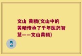 文山 黄精(文山中的黄精传承了千年医药智慧——文山黄精)