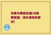 乌梅与黄精泡酒(乌梅黄精酒：滋补美味的尝试)
