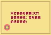 大竹县姜形黄精(大竹县黄精种植：姜形黄精的扶贫奇迹)