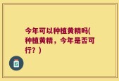 今年可以种植黄精吗(种植黄精，今年是否可行？)