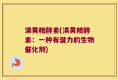 滇黄精酵素(滇黄精酵素：一种有潜力的生物催化剂)