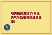 地黄精高温烂了(高温天气导致地黄精品质受损)