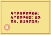 九华多花黄精块茎苗(九华黄精块茎苗：更多花卉，更优质的品质)