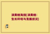 滇黄精海拔(滇黄精：生长环境与发展状况)