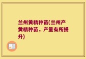 兰州黄精种苗(兰州产黄精种苗，产量有所提升)