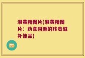 湘黄精图片(湘黄精图片：药食同源的珍贵滋补佳品)