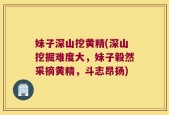 妹子深山挖黄精(深山挖掘难度大，妹子毅然采摘黄精，斗志昂扬)