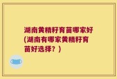 湖南黄精籽育苗哪家好(湖南有哪家黄精籽育苗好选择？)