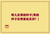 哪儿卖黄精种子(黄精种子在哪里能买到？)