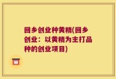 回乡创业种黄精(回乡创业：以黄精为主打品种的创业项目)