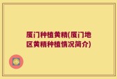 厦门种植黄精(厦门地区黄精种植情况简介)