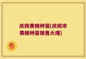 庆阳黄精种苗(庆阳市黄精种苗销售火爆)