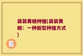袋装黄精种植(袋装黄精：一种新型种植方式)