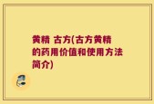 黄精 古方(古方黄精的药用价值和使用方法简介)