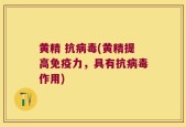 黄精 抗病毒(黄精提高免疫力，具有抗病毒作用)