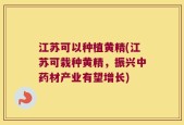 江苏可以种植黄精(江苏可栽种黄精，振兴中药材产业有望增长)