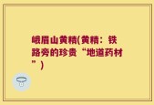 峨眉山黄精(黄精：铁路旁的珍贵“地道药材”)