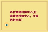 药材黄精种植中心(打造黄精种植中心，打造药材丰收)