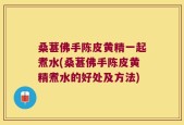 桑葚佛手陈皮黄精一起煮水(桑葚佛手陈皮黄精煮水的好处及方法)