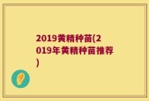 2019黄精种苗(2019年黄精种苗推荐)