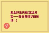 紫金野生黄精(紫金珍宝——野生黄精华丽登场！)
